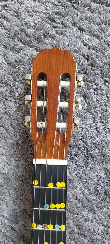 Guitarre Tenson - Classic Student Series 4/4 mit viel Zubehör in Hildesheim