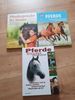 Buch, Pferde Nordrhein-Westfalen - Paderborn Vorschau