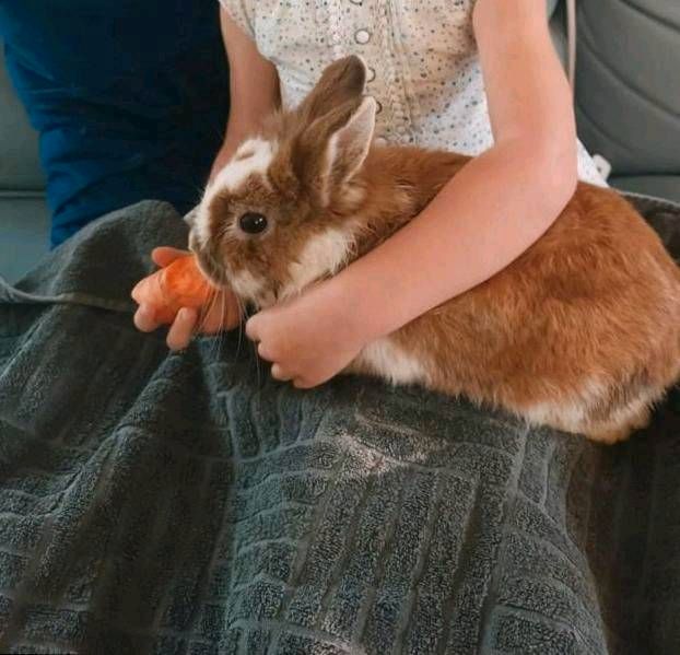 Kindertagespflege Löwenzahn in Burladingen