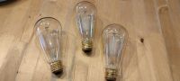 Edison bulb Glühbirnen 3 STK 40 Watt Bayern - Maitenbeth Vorschau