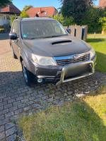 Subaru Forester Boxer-Diesel Hessen - Allendorf Vorschau