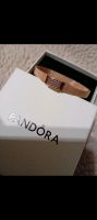 Pandora Reflexions Mesh-Armband 14k 17cm Neu Schleswig-Holstein - Itzehoe Vorschau