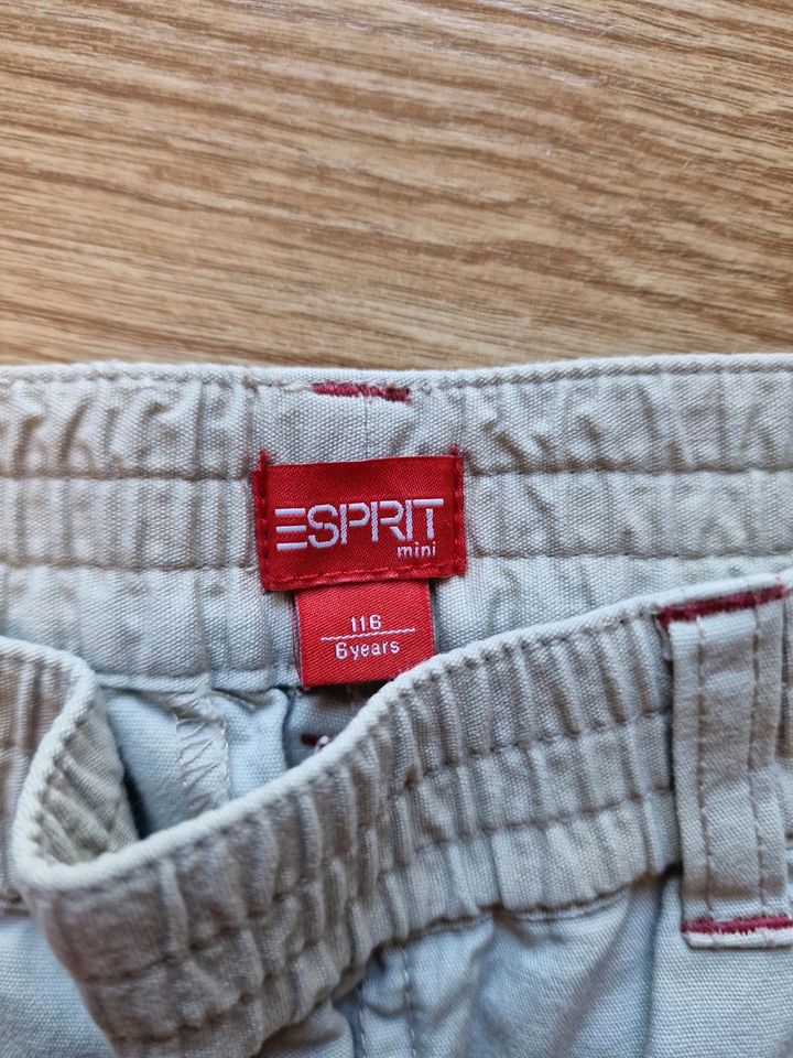 Esprit Pull on Gummibund Shorts Capri 116 in Berlin