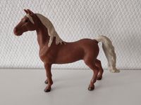 Schleich American Saddle Bread Horse Rheinland-Pfalz - Mudersbach Vorschau