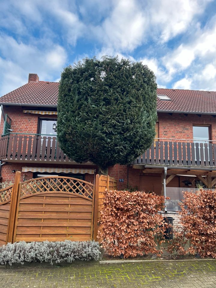 Pflasterarbeiten , Gartenpflege , Bordstein Absenkung , Galabau in Riesenbeck