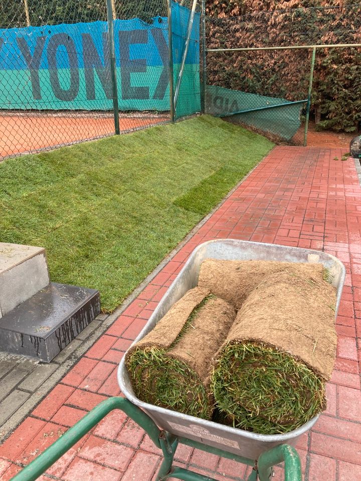 Gartenarbeit Baumfällarbeiten Sturmschäden Rasen Hecke in Eschweiler