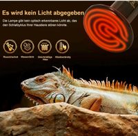 Reptilien Zoo Wärmelampe Nordrhein-Westfalen - Lübbecke  Vorschau
