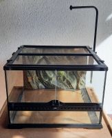 Exo Terra Glasterrarium Terrarium 45x45x30 Bayern - Burgkunstadt Vorschau