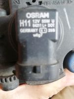 Ford Focus Nebelscheinwerfer H11 Osram Nordrhein-Westfalen - Bünde Vorschau