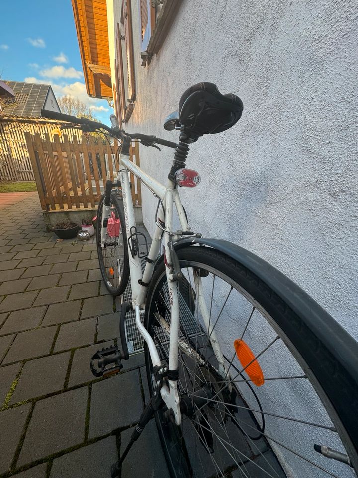 Bergamont Fahrrad in Hammelburg