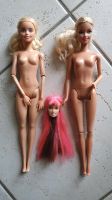 Barbie beweglich 1999 und 2015 Nordrhein-Westfalen - Hattingen Vorschau