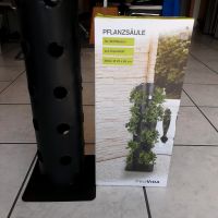 2 neue Pflanzsäulen(Pro Vida)schwarzem Kunststoff je 30 Pflanzen Nordrhein-Westfalen - Moers Vorschau