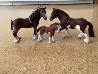 Top Schleich Clydesdale Familie Pferde Bayern - Haag in Oberbayern Vorschau