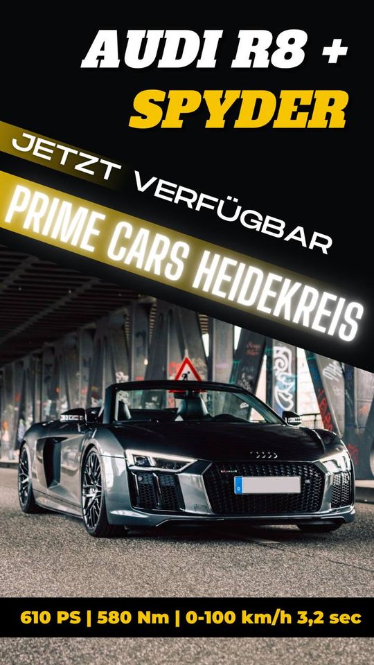 Luxus Mietwagen, Sportwagen Mieten, Audi R8 Spyder in Munster