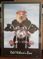 Bild Poster Hund auf Motorrad Bilderrahmen Kr. Passau - Passau Vorschau