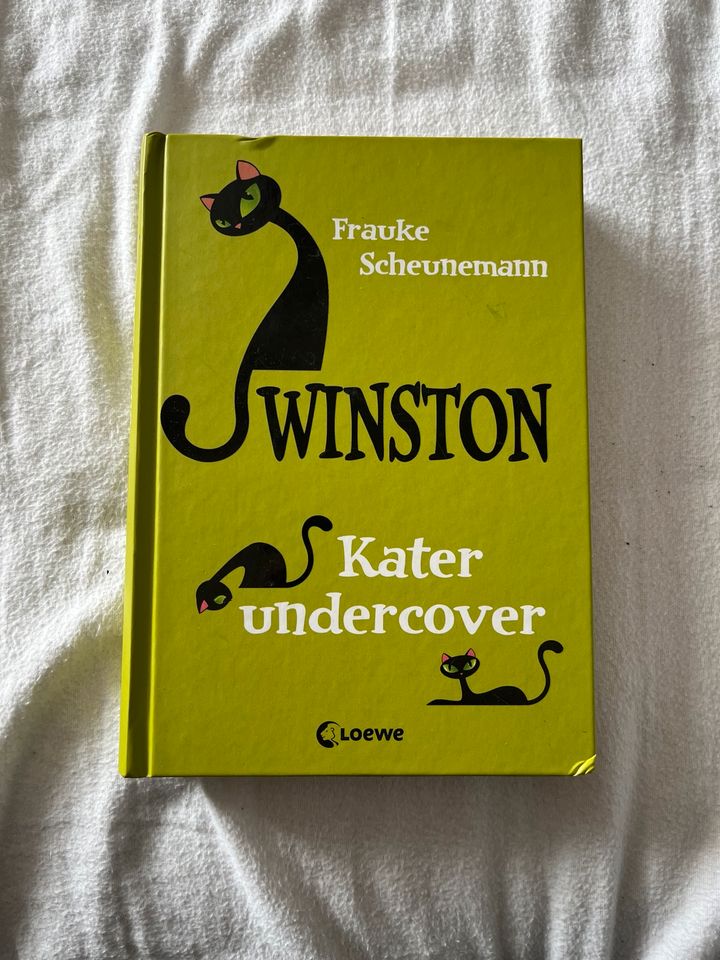 Winston - Kater Undercover in Bühlertal