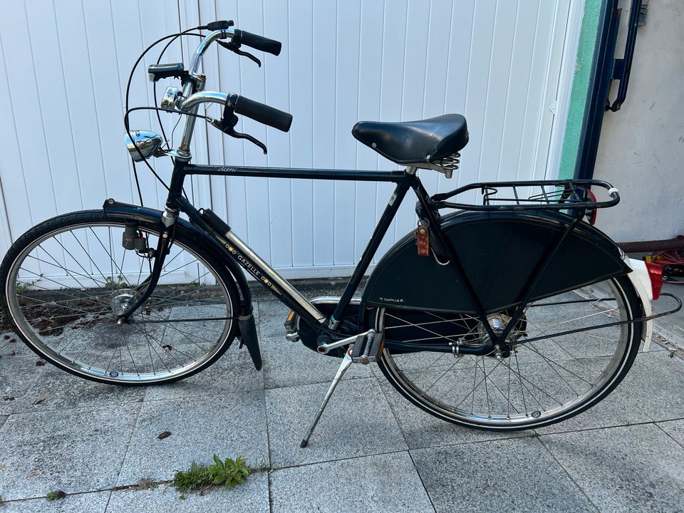 Gazelle Retro Bike in Feucht