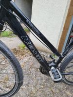 2 Trekking Fahrräder  28 iger Niedersachsen - Delmenhorst Vorschau