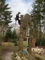 Baumfällung Sturmschaden Dienstleistungen Niedersachsen - Lintig Vorschau