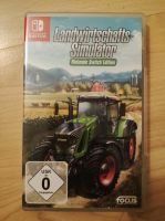 Nintendo Switch Spiel Landwirtschaftssimulator Hessen - Brachttal Vorschau
