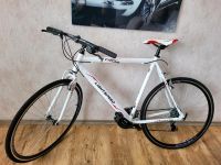 Fahrrad Lightspeed KS Cycling Shimano 21 Gänge Nordrhein-Westfalen - Ennepetal Vorschau