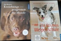 Kosmos Welpenschule, Erziehungsprogramm für Hunde Kreis Pinneberg - Ellerhoop Vorschau