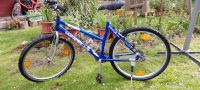 Fahrrad 26 Zoll Marke Wheeler Hessen - Modautal Vorschau