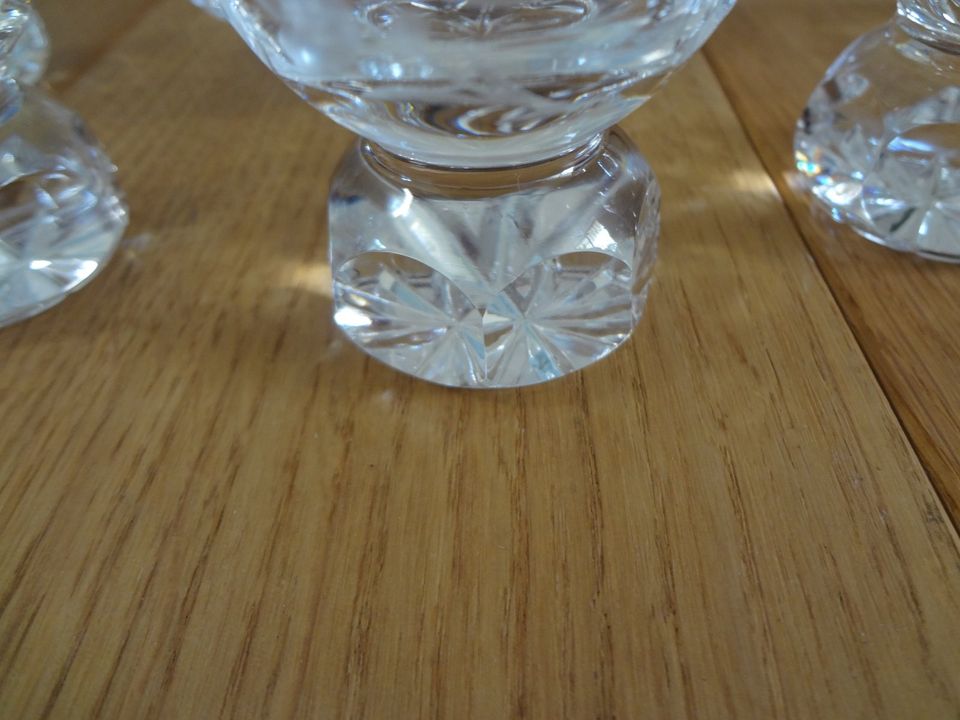 Gebrauchte Glas-Karaffe mit 5 Pinnchen in Lingen (Ems)