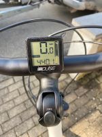 Pedelec E-Bike Damenrad Baden-Württemberg - Seitingen-Oberflacht Vorschau