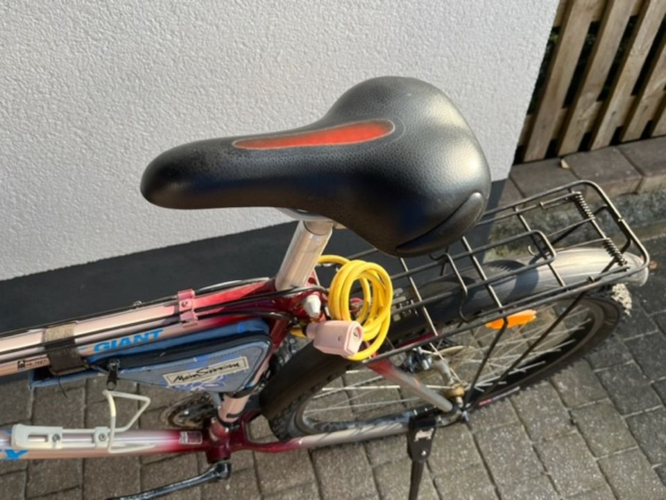 2 Stück - Fahrrad - Mountenbike - Fahrräder - GIANT in Hausen i. Niederbayern