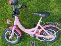 Puky lillifee Fahrrad 12 Zoll Nordrhein-Westfalen - Sundern (Sauerland) Vorschau