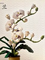 Orchidee für Bastler/Bausatz Hessen - Butzbach Vorschau