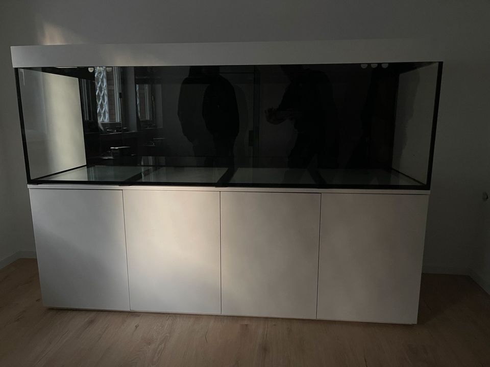 Aquarium Kombination 160x60x60cm 576Liter in vielen Dekoren NEU! in Dortmund