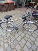 Schönes Fahrrad zu verkaufen Brandenburg - Brandenburg an der Havel Vorschau