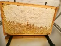 Frischer Wabenhonig aus dem Bienenvolk. Nordrhein-Westfalen - Rödinghausen Vorschau