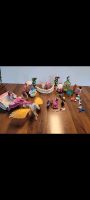 Playmobil Prinzessin und Feen Sammlung Niedersachsen - Brackel Vorschau