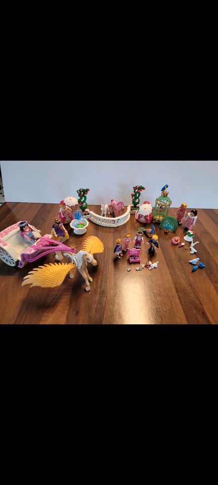 Playmobil Prinzessin und Feen Sammlung in Brackel