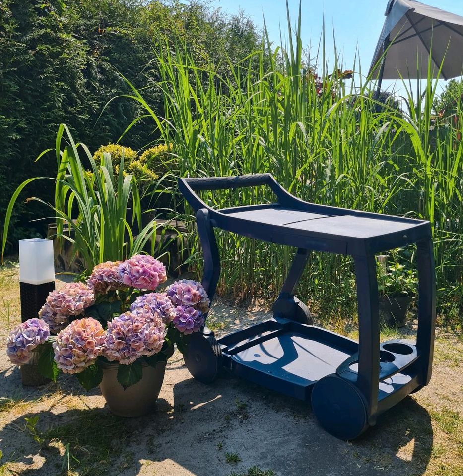 Servierwagen Beistelltisch Gartenmöbel Schrebergarten in Oldenburg