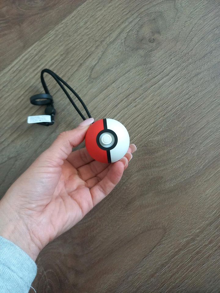 Pokeball Controller in Waldfeucht