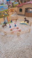 Schleich Pony Training Nordrhein-Westfalen - Ahlen Vorschau