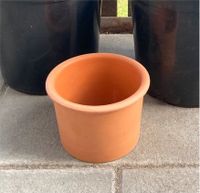 Blumentopf Terracotta Baden-Württemberg - Oberteuringen Vorschau