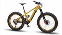 Suche MAXX E-Fatbike Huraxdax ELS X Niedersachsen - Aerzen Vorschau