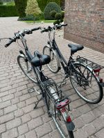 Damen und Herren Trekking Fahrrad Niedersachsen - Großefehn Vorschau
