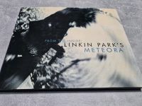 From the Inside: Linkin Park's Meteora Sachsen - Eilenburg Vorschau