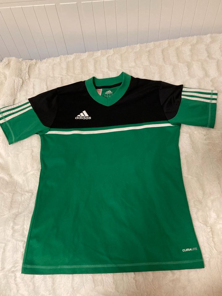 Adidas Shirt Sport 164 grün Junge in Oestrich-Winkel