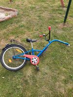 Kinderfahrrad, Nachläuferrad Mecklenburg-Vorpommern - Kemnitz Vorschau