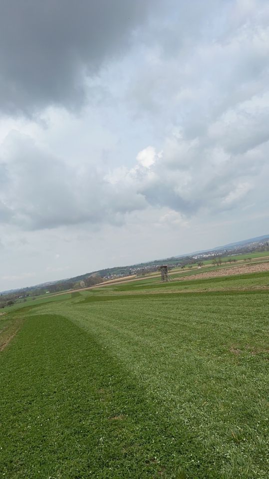 Grünland Streuobst, Ackerland gesucht in Backnang