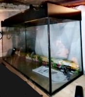 Juwel Aquarium 250 Liter Komplett Brandenburg - Cottbus Vorschau