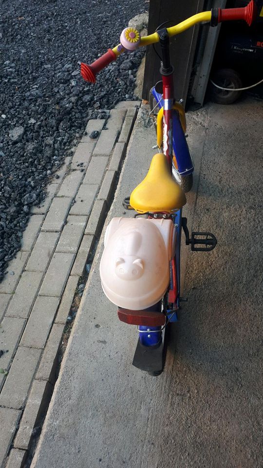 Kinderfahrrad 18Zoll in Rosenthal-Bielatal