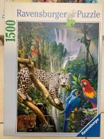 Ravensburger Puzzle 1500 Teile, Im Regenwald Bayern - Gmund Vorschau